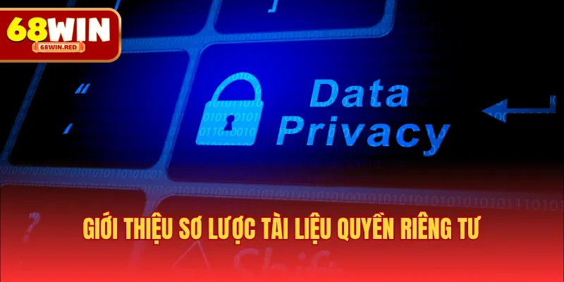 Giới thiệu sơ lược tài liệu quyền riêng tư